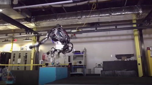 自主完成向后翻筋斗的機(jī)器人 人工智能又向前邁了一大步