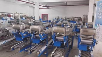 面條機與食品加工機械 胖掌柜食品機械廠的創新與價值