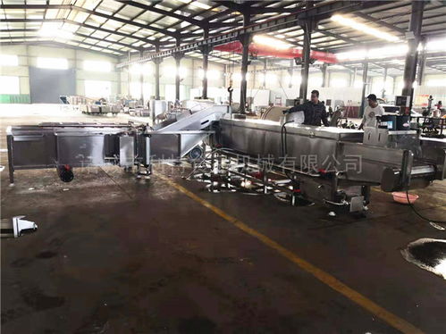 隧道蒸煮漂燙機(jī)廠家解析 天津與諸城利特機(jī)械公司的行業(yè)比較